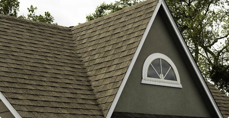 Ashpalt Shingle Roof